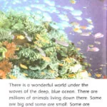 کتاب In the Ocean Dolphin Readers 4 11 کتاب In the Ocean Dolphin Readers 4 - کتاب In the Ocean Dolphin Readers 4 - کتاب لند