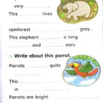 کتاب Let's Go to the Rainforest Dolphin Readers 3 5 کتاب Let's Go to the Rainforest Dolphin Readers 3 - کتاب Let's Go to the Rainforest Dolphin Readers 3 - کتاب لند