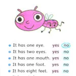 کتاب Meet Molly Dolphin Readers 1 8 کتاب Meet Molly Dolphin Readers 1 - کتاب Meet Molly Dolphin Readers 1 - کتاب لند