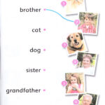 کتاب My Family Dolphin Readers Starter - کتاب My Family Dolphin Readers Starter - کتاب لند