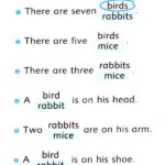 کتاب Number Magic Dolphin Readers 1 6 کتاب Number Magic Dolphin Readers 1 - کتاب Number Magic Dolphin Readers 1 - کتاب لند