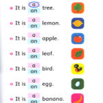 کتاب Silly Squirrel Dolphin Readers Starter - کتاب Silly Squirrel Dolphin Readers Starter - کتاب لند