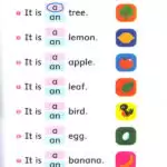 کتاب Silly Squirrel Dolphin Readers Starter 5 کتاب Silly Squirrel Dolphin Readers Starter - کتاب Silly Squirrel Dolphin Readers Starter - کتاب لند