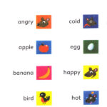 کتاب Silly Squirrel Dolphin Readers Starter - کتاب Silly Squirrel Dolphin Readers Starter - کتاب لند