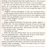 رمان Fangirl 4 قیمت کتاب Fangirl