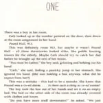 رمان Fangirl 5 خرید کتاب Fangirl