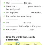 کتاب Wonderful Wild Animals Dolphin Readers 3 5 کتاب Wonderful Wild Animals Dolphin Readers 3 - کتاب Wonderful Wild Animals Dolphin Readers 3 - کتاب لند