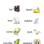 کتاب Wonderful Wild Animals Dolphin Readers 3 8 کتاب Wonderful Wild Animals Dolphin Readers 3 - کتاب Wonderful Wild Animals Dolphin Readers 3 - کتاب لند