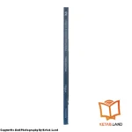 قیمت و خرید کتاب Longman Academic Writing Series 2 3rd از کتاب لند - تصویر سوم - تصویر شیرازه کتاب