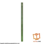 قیمت و خرید کتاب Longman Academic Writing Series 3 4th از کتاب لند - تصویر سوم - تصویر شیرازه کتاب