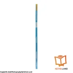 قیمت و خرید کتاب American Family and Friends 1 2nd از کتاب لند - تصویر پنجم - تصویر شیرازه کتاب