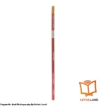 قیمت و خرید کتاب American Family and Friends 2 2nd از کتاب لند - تصویر پنجم - تصویر شیرازه کتاب