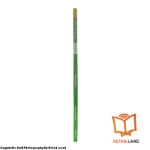 قیمت و خرید کتاب American Family and Friends 3 2nd از کتاب لند - تصویر پنجم - تصویر شیرازه کتاب