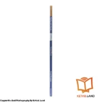 قیمت و خرید کتاب American Family and Friends 5 2nd از کتاب لند - تصویر پنجم - تصویر شیرازه کتاب