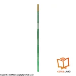 قیمت و خرید کتاب American Family and Friends 6 2nd از کتاب لند - تصویر پنجم - تصویر شیرازه کتاب