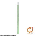 قیمت و خرید کتاب Got it 1 2nd از کتاب لند - تصویر چهارم - تصویر شیرازه کتاب