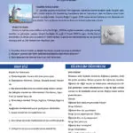 کتاب Istanbul A2 5 قیمت کتاب ترکی استانبول A2