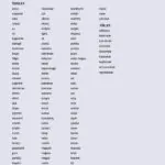 کتاب Istanbul A2 6 خرید کتاب ترکی استانبول A2