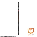 خرید کتاب تاپ ناچ 1B ویرایش سوم