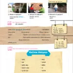 کتاب Yedi Iklim Turkce A1 7 Yedi Iklim Turkce A1 Book