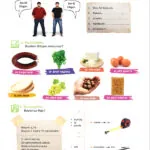 کتاب Yedi Iklim Turkce A1 5 Yedi Iklim Turkce A1 Book