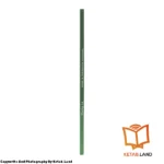 قیمت و خرید کتاب Advanced Vocabulary BJ Thomas از کتاب لند - تصویر سوم - تصویر شیرازه کتاب