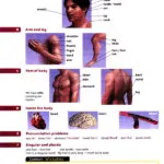 کتاب Elementary English Vocabulary in Use 3rd 7 کتاب Elementary English Vocabulary in Use 3rd - کتاب Elementary English Vocabulary in Use 3rd - کتاب لند