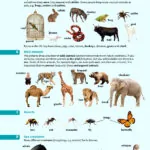 کتاب Pre-Inter / Intermediate English Vocabulary in Use 4th 10 قیمت کتاب پری اینترمدیت انگلیش وکبیولری این یوز