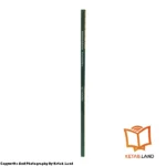 قیمت و خرید کتاب Intermediate Vocabulary BJ Thomas از کتاب لند - تصویر سوم - تصویر شیرازه کتاب