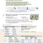 کتاب Menschen A.1.1 6 Menschen A1 Book