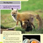 کتاب Oxford International Primary Science 3 7 کتاب Oxford International Primary Science 3 - - کتاب لند