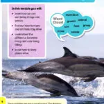 کتاب Oxford International Primary Science 3 8 کتاب Oxford International Primary Science 3 - - کتاب لند