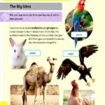 کتاب Oxford International Primary Science 3 3 کتاب Oxford International Primary Science 3 - - کتاب لند