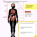 کتاب Oxford International Primary Science 6 8 کتاب Oxford International Primary Science 6 - کتاب Oxford International Primary Science 6 - کتاب لند
