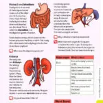 کتاب Oxford International Primary Science 6 9 کتاب Oxford International Primary Science 6 - کتاب Oxford International Primary Science 6 - کتاب لند
