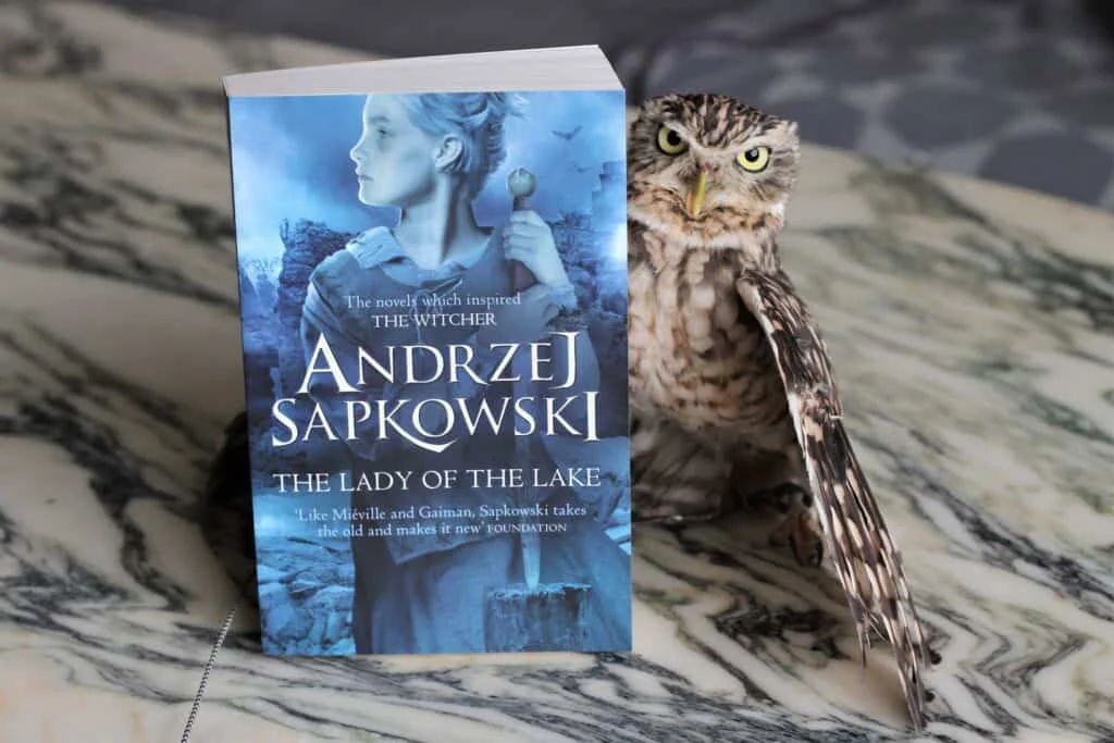 خرید رمان بانوی دریاچه قسمت هفتم ویچر