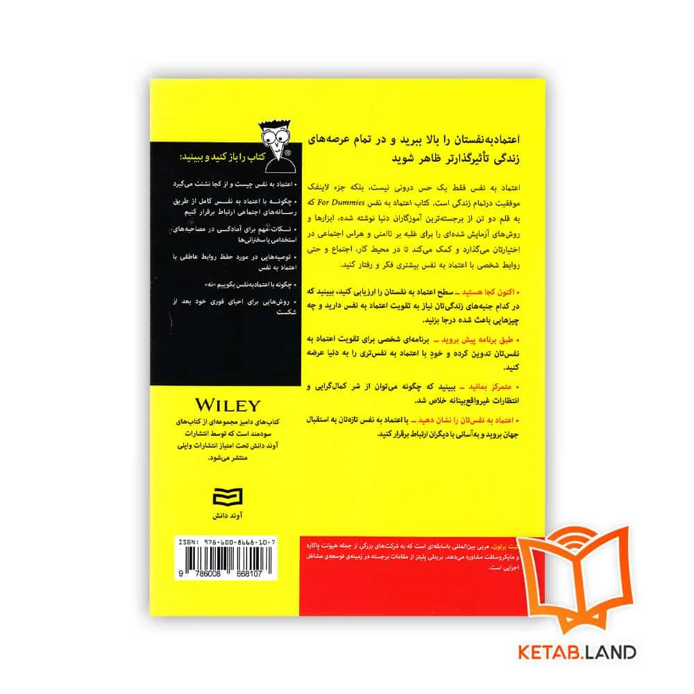 قیمت کتاب اعتماد به نفس For Dummies