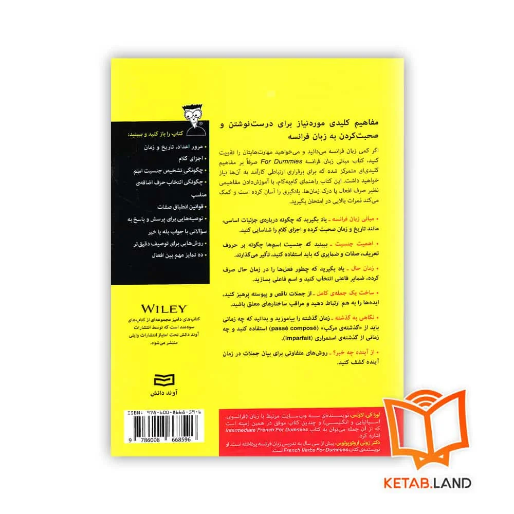 قیمت کتاب مبانی زبان فرانسه For Dummies