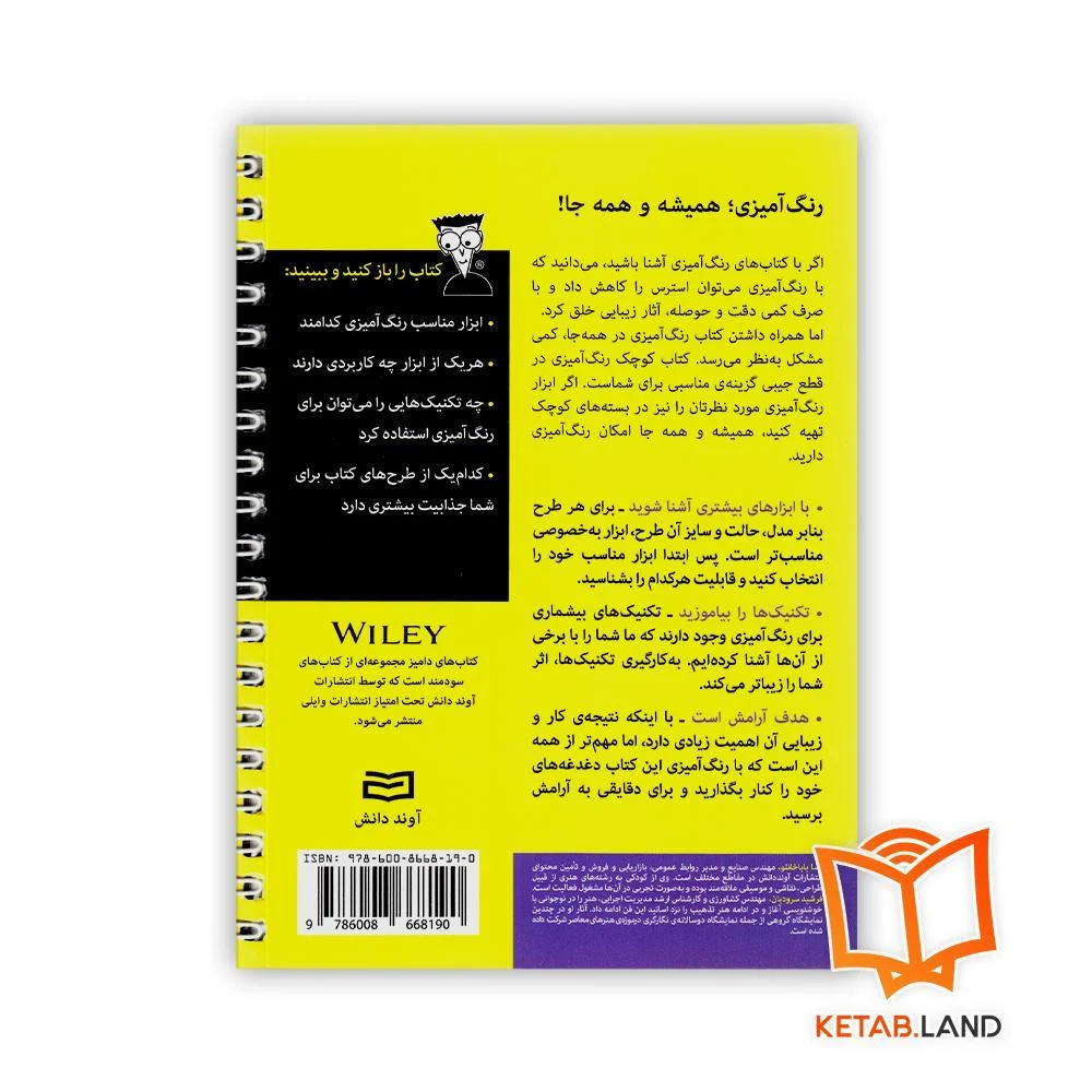 قیمت کتاب کوچک رنگ آمیزی For Dummies