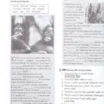 کتاب Project 4 4th 14 کتاب پروجکت 4 کتاب کار صفحه 48