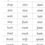 کتاب Jolly Phonics Word Book 7 کتاب جولی فونیکس ورد بوک صفحه 16