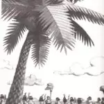 مجموعه کتاب خانه های درختی اسرارآمیز 20 مجموعه کتاب خانه های درختی اسرارآمیز - مجموعه کتاب خانه های درختی اسرارآمیز - کتاب لند