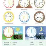 کتاب Oxford Children's Picture Dictionary 8 قیمت کتاب Oxford Children's Picture Dictionary