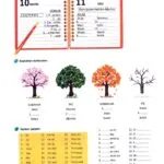 کتاب Yeni Istanbul A1 7 قیمت کتاب Yeni Istanbul A1