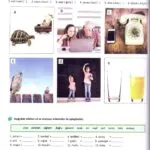 کتاب Yeni Istanbul A1 8 خرید کتاب ترکی استانبولی Yeni Istanbul A1