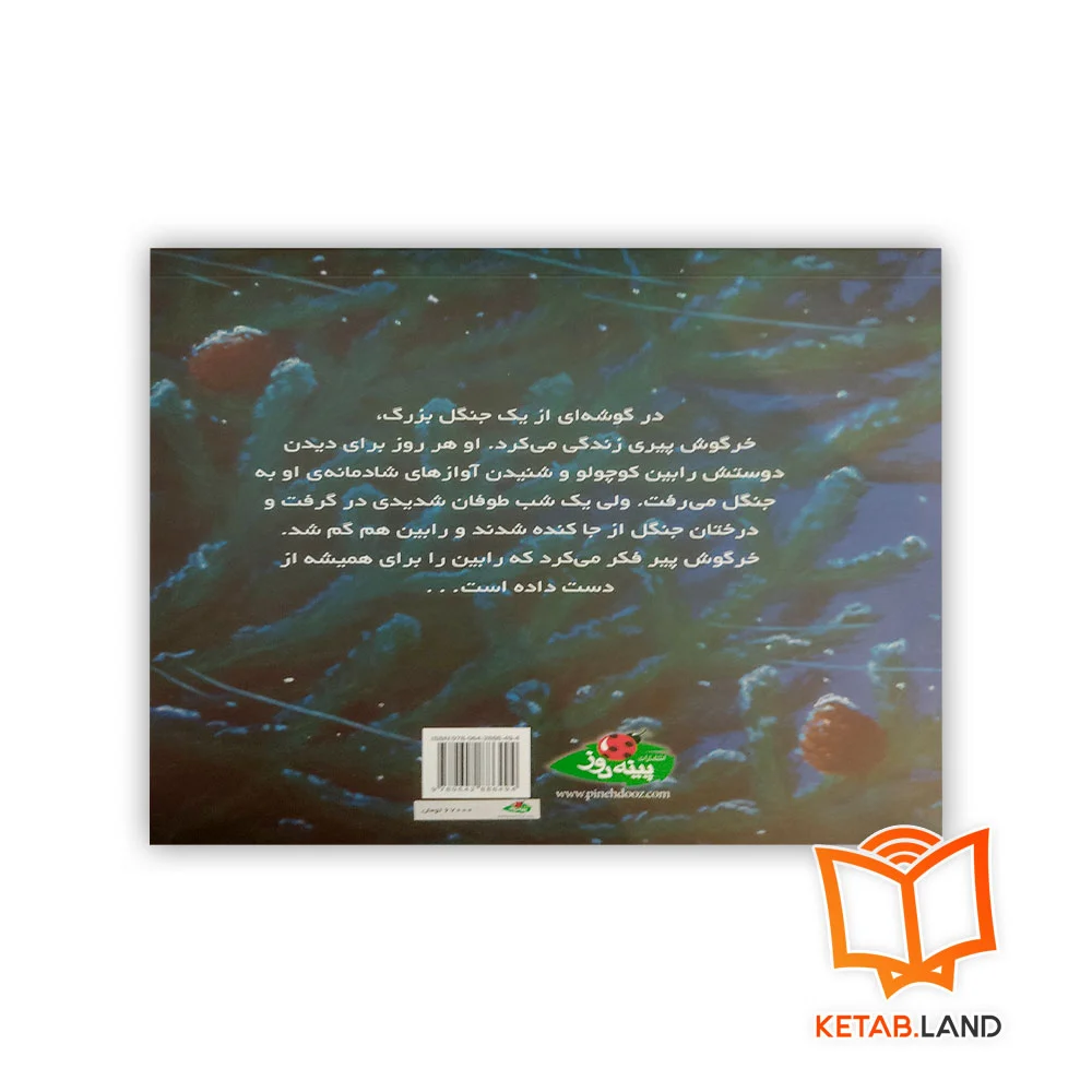 قیمت کتاب داستان رابین کوچولوی گمشده