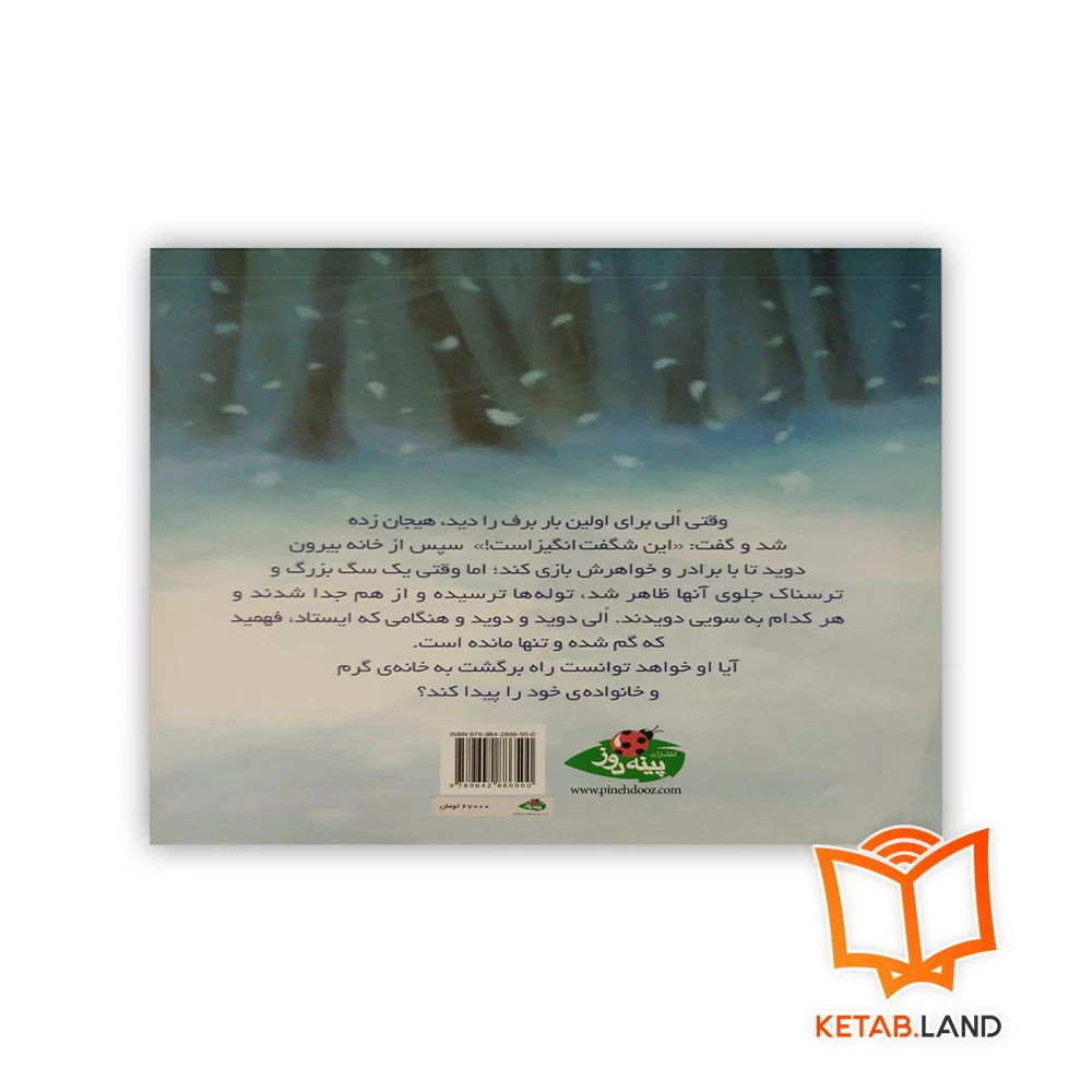 قیمت کتاب گمشده در برف