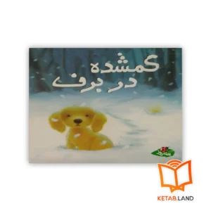 خرید کتاب گمشده در برف