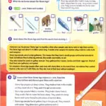 کتاب Super Minds 6 2nd 8 کتاب super minds 6 2nd