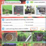 کتاب Super Minds 1 2nd 15 قیمت کتاب Super minds 2nd سطح 1